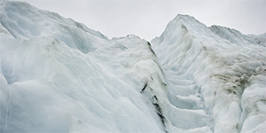 Fox Glacier, New Zealand, Lee robinson travel photography