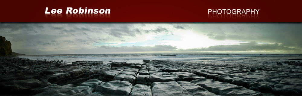 lee robinson photography