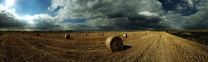 digital panoramic photograph of  Hay bails, Wiltshire.